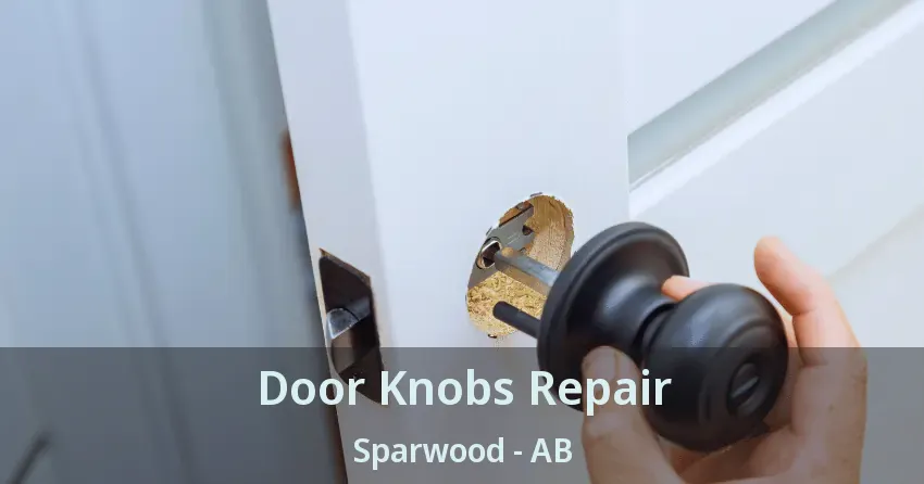 Door Knobs Repair Sparwood - AB