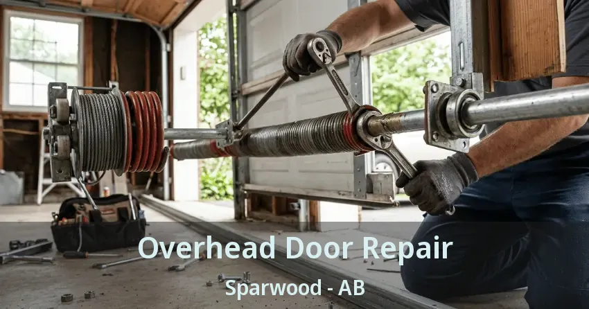 Overhead Door Repair Sparwood - AB